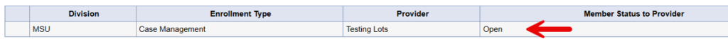 Provider Enrollments list showing provider records to select from
