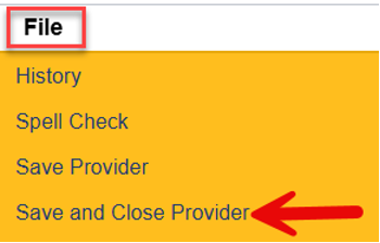 File menu expanded showing Save and Close Provider option highlighted