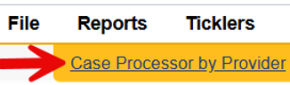 Reports menu expanded showing Case Processor by Provider option highlighted