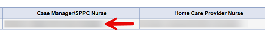 Division Tab showing assigned Case Manager information