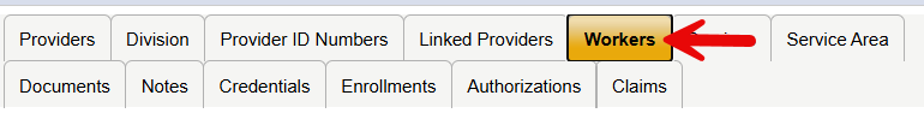 Provider Record tabs showing Workers Tab highlighted