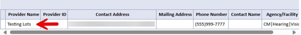 Provider search results showing provider records to select from
