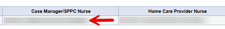 Division tab table showing two columns: Case Manager/SPPC Nurse (with red arrow pointing to a data row) and Home Care Provider Nurse.