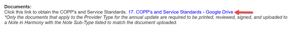 Documents section showing instruction text with link “17. COPP’s and Service Standards - Google Drive” (red arrow pointing to link), and italicized note about required documents for annual update.