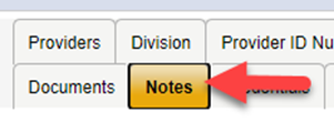 Provider Record navigation tabs showing Providers, Division, Provider ID Numbers, Documents, and Notes tabs, with red arrow pointing to Notes tab.
