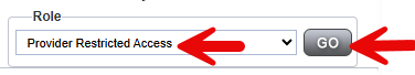 Role selection dropdown showing “Provider Restricted Access” selected (red arrow pointing to dropdown), with GO button (red arrow pointing to it).