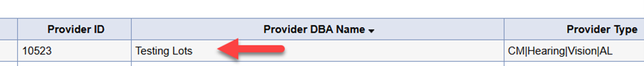 Provider list table showing columns for Provider ID, Provider DBA Name, and Provider Type, with sample entry showing Provider ID 10523, “Testing Lots” (red arrow pointing to it), and Provider Type “CM|Hearing|Vision|AL”.