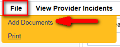 File menu expanded showing View Provider Incidents, Add Documents (with red arrow pointing to it), and Print options.