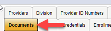 Provider Record navigation tabs showing Providers, Division, Provider ID Numbers, Documents (with red arrow pointing to it), Credentials, and Enrollments tabs.