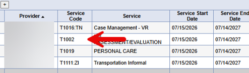 Planned Services list showing service codes, with a red arrow pointing to the T1002 Assessment/Evaluation line.