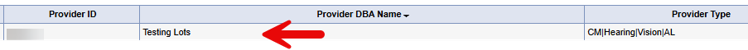 Provider list showing Provider ID, Provider DBA Name, and Provider Type columns, with a red arrow pointing to an agency row.